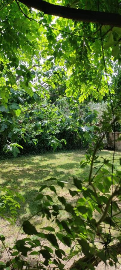 Villa Kapetanakis Redessan エクステリア 写真